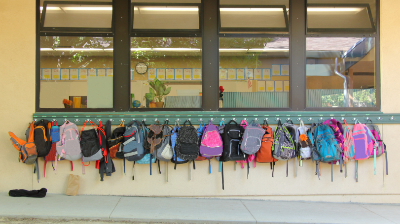 A row of colorful backpacks hanging on hooks outside of a school, representing a variety of styles and sizes.